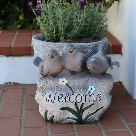 Sonneck-adults Only Hotel