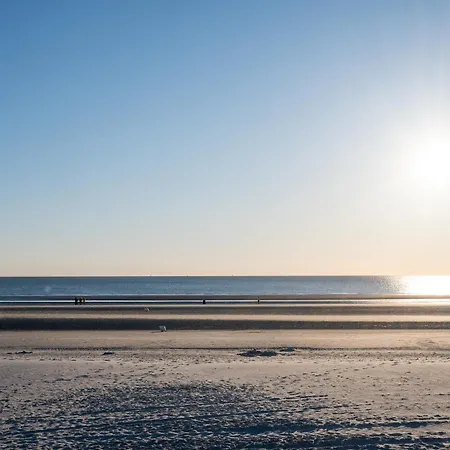 Sonneck-adults Only *