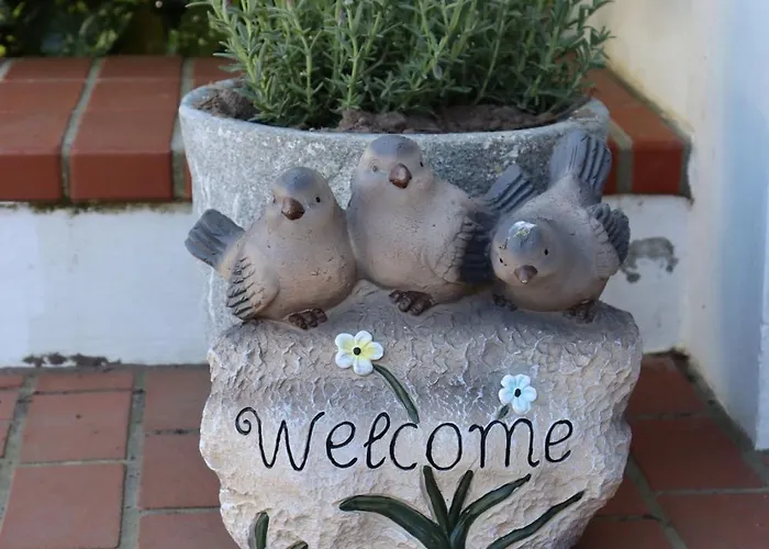 Sonneck-adults Only Hotell